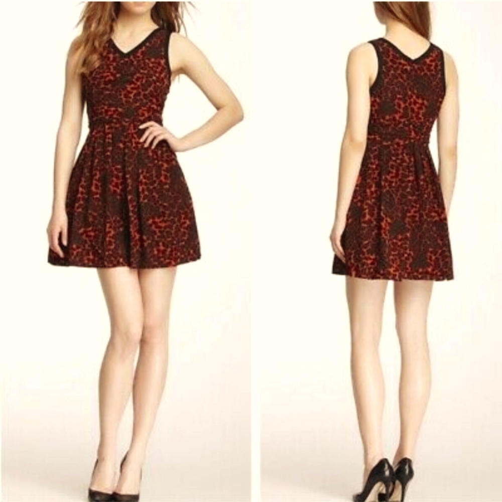 New BB Dakota Urban Outfitters Almeta Wild Things Animal Print Dress